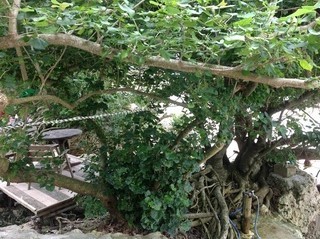image-ed804-thumbnail2.jpg